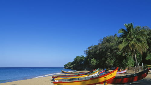 Boats on a beach at an exotic location